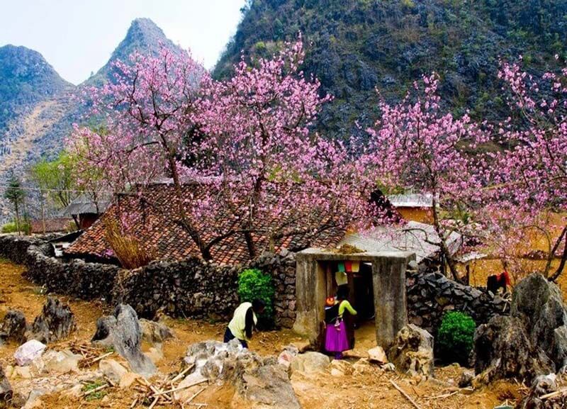 Dive into the serene charm of Mai Chau Travel